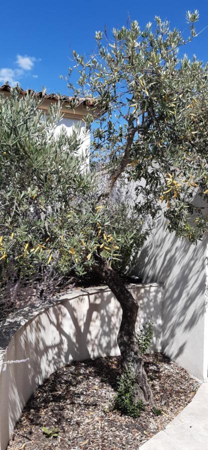 Villa Jasmin Régusse מראה חיצוני תמונה