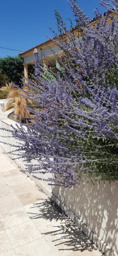 Villa Jasmin Régusse מראה חיצוני תמונה