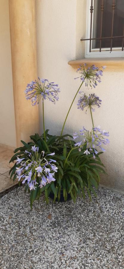 Villa Jasmin Régusse מראה חיצוני תמונה